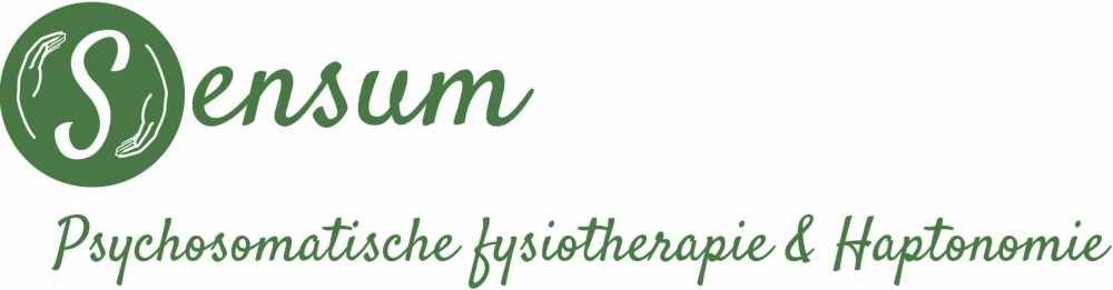 Bekkenfysiotherapie Hogen Esch