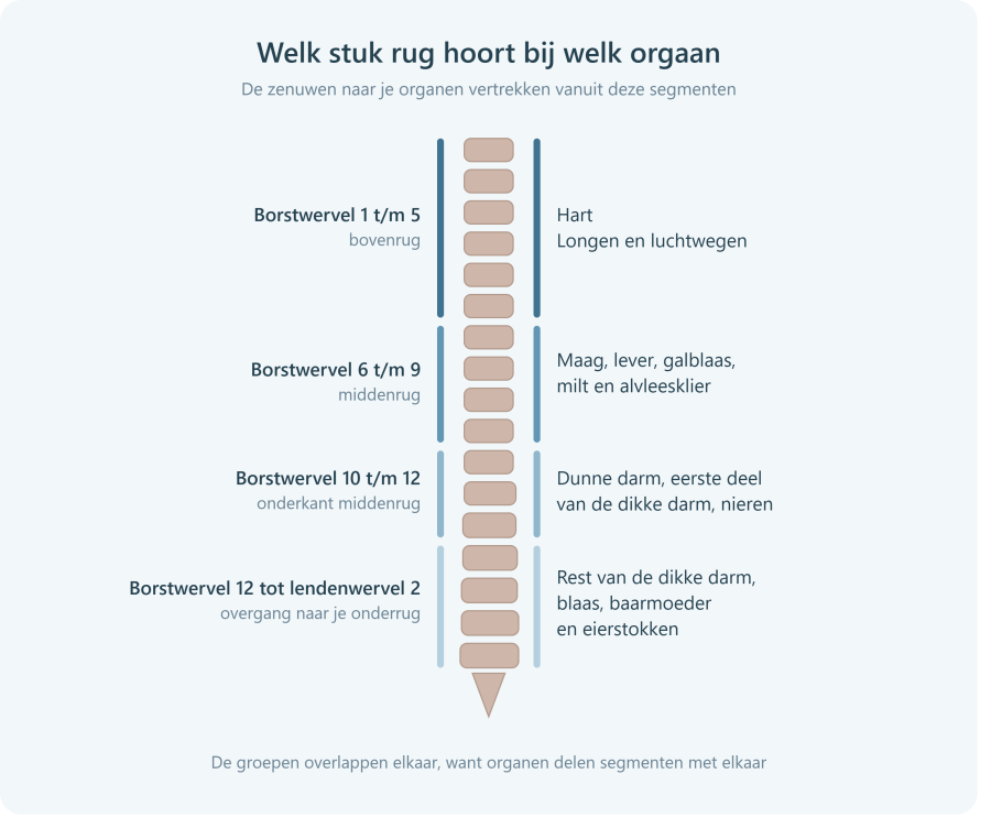 Osteopathie De Streek praktijk